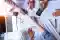 project management Project Management of Interior Design